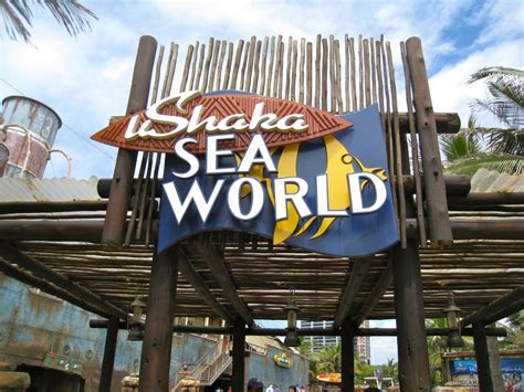 Things To See In South Africa Ushaka Marine World In