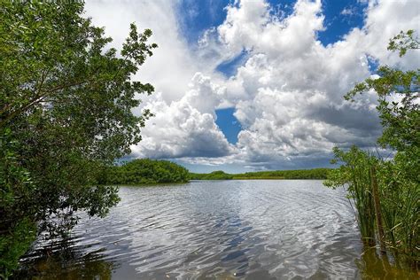 Everglades Lake 0278 Photograph By Rudy Umans Fine Art America