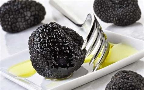 Read on to find out all about them. What is truffle oil: A concise guide to this luxurious ...