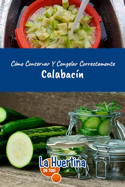 Lo que significa que es baja en carbohidratos y alta en fibra. Como Conservar Y Congelar El Calabacin Correctamente ...