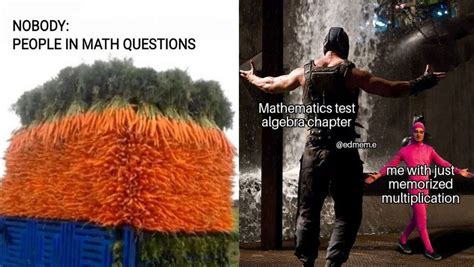 National Mathematics Day 2019 Funny Maths Memes And Jokes That Will