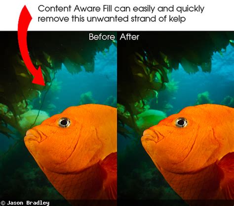 Content Aware Fill In Photoshop Cs