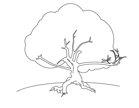 Tree Coloring Pages With Roots at GetDrawings | Free download
