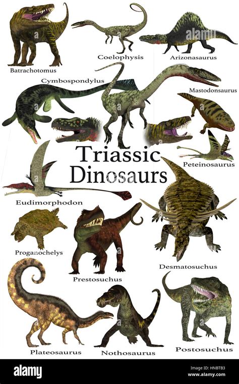 Triassic Dinosaurs A Collection Of Various Dinosaur And Marine