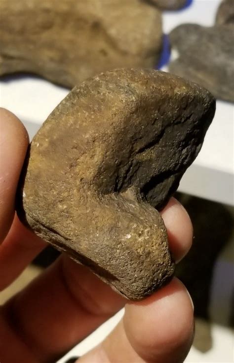 Rare Paleo Indian Tool Ancient Artifacts Prehistoric Prehistoric