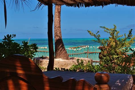 Mango Beach House Zanzibarjambiani Voir Les Tarifs Et Avis Camping Tripadvisor