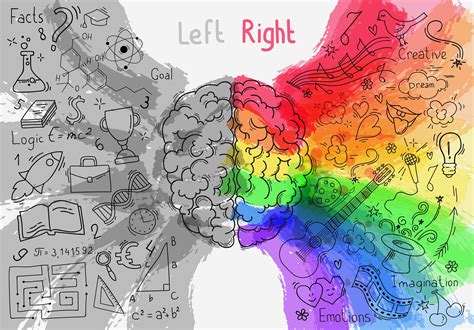 The Truth About Logical Left Brainers Vs Creative Right Brainers