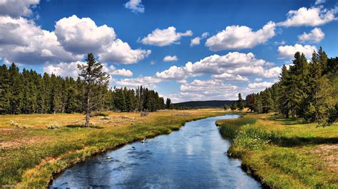 Free Download Beautiful River Wallpapers Yellowstone 1920x1080 For