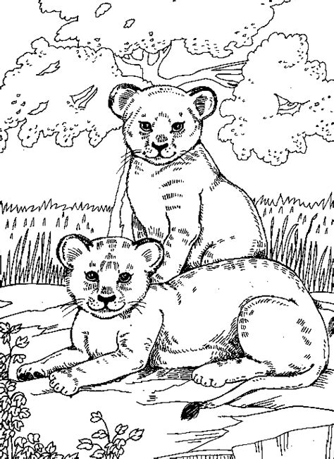 | view 268 lion cub coloring illustration, images and graphics from +50,000 possibilities. Easy Lion Cub Coloring Pages