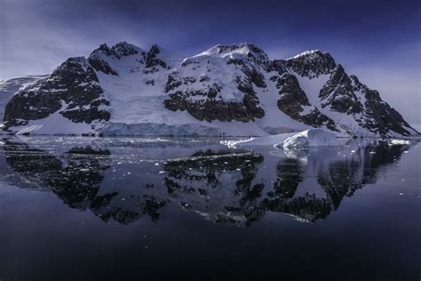 19 Best Things To Do In Antarctica In 2024 Plumeria Destinations