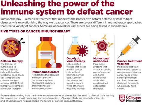 Cancer Immunotherapy Uchicago Medicine