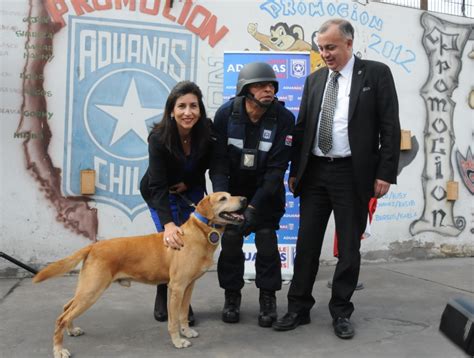 Pasó A Retiro El Perro Que Logró Detectar Más De 4 Toneladas De Drogas