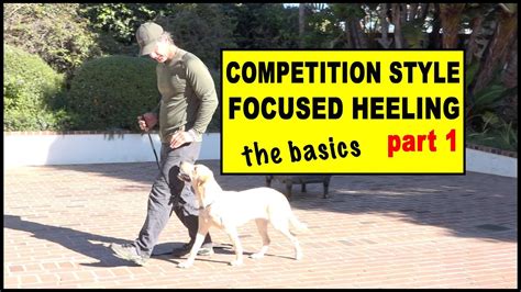 Competition Focused Heeling Part 1 Foundation Dog Training Video