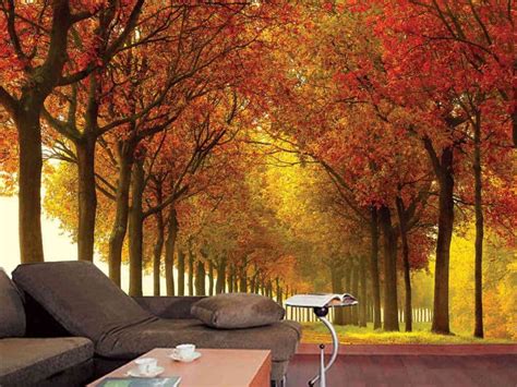Autumn Colors Wall Mural About Murals