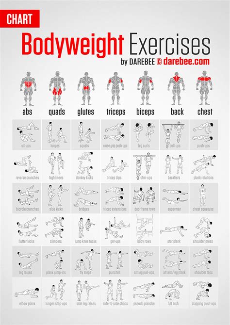 List Of Bodyweight Exercises Infographic Bodyweight Workout