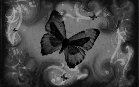 Black Butterfly Wallpapers Wallpaper Cave