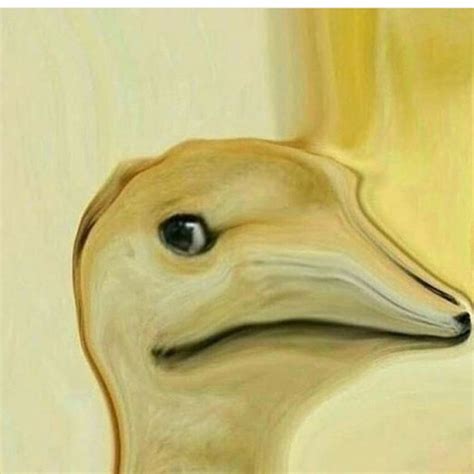 Check spelling or type a new query. cursed image meme | Tumblr