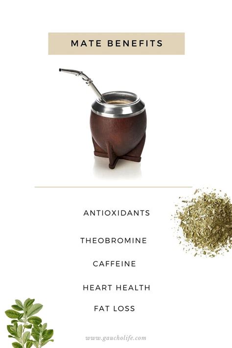 Benefits Of Yerba Mate For You And The Environment Yerba Mate Yerba Mate Benefits Yerba