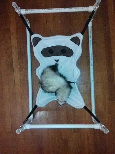 Craigslist Pets Nc Charlotte