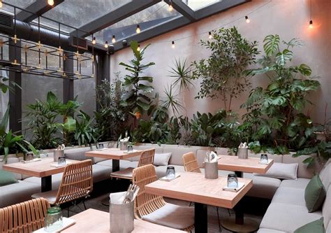 Jungle Cafe Natural Interior Design Of A Cafe With Greenery And
