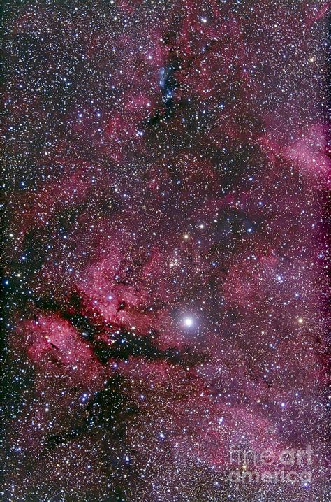 Sadr Region Of Cygnus Around Gamma Photograph By Alan Dyer Fine Art