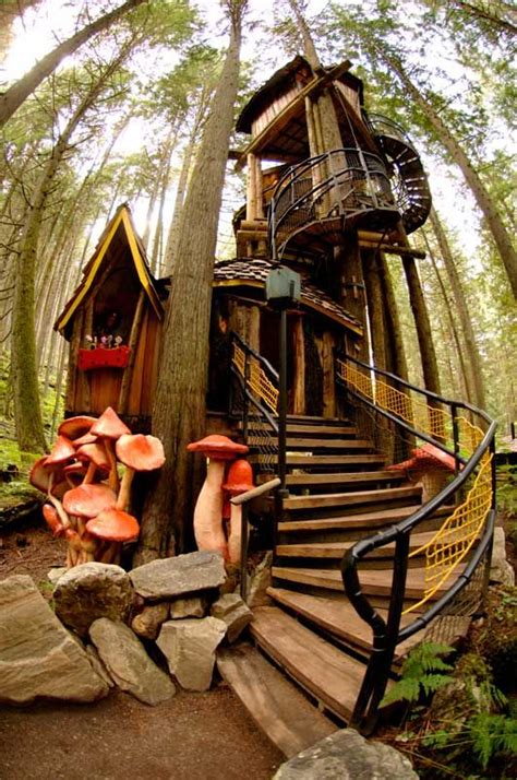 Enchanted Forest Treehouse Would You Live Here Cool Tree Houses
