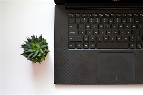 Laptop Plant Desk Free Photo On Pixabay Pixabay