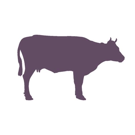Holstein Friesian cattle Vector graphics Angus cattle Limousin cattle Clip art - steer ...