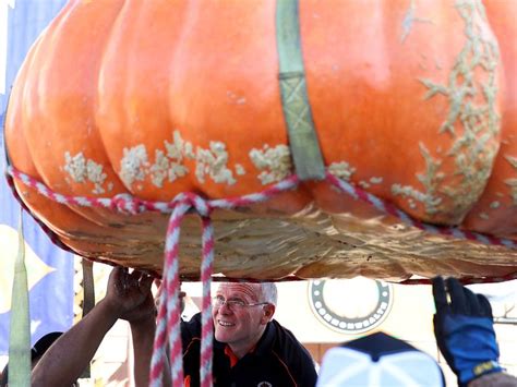 Giant Pumpkin Weighing Nearly 1 Ton Sets California Record News