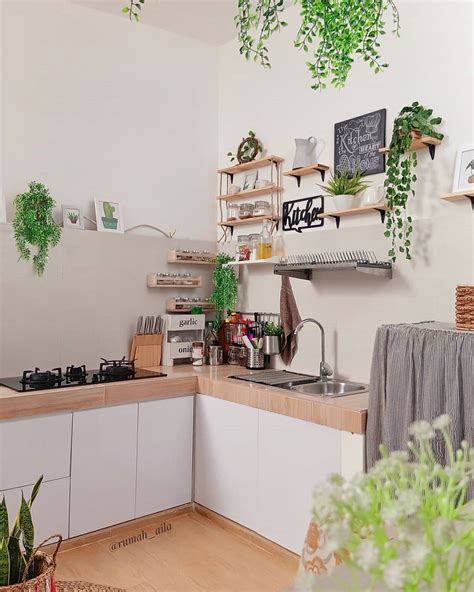 hiasan dapur minimalis   tanaman hijau