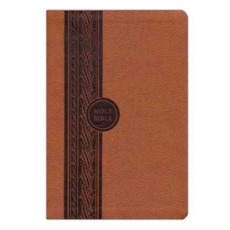 Mev Thinline Reference Bible Brown