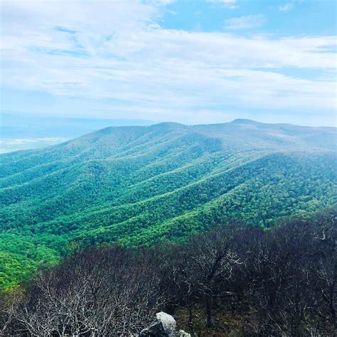 Hawksbill Mountain Shenandoah National Park All You Need To Know