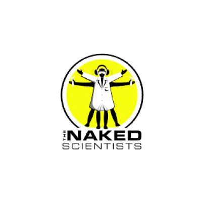 Naked Science Ltd Consulting Organization From Uk Experience With Horizon Horizon