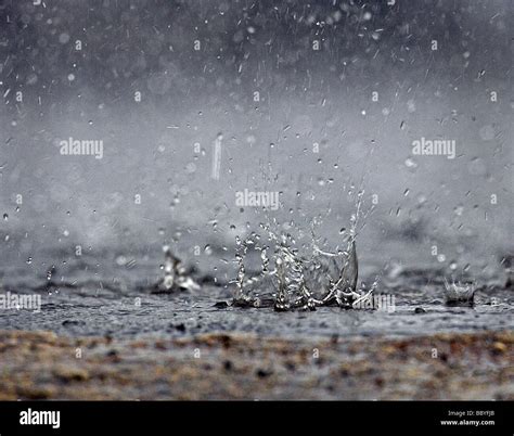 Rain Drops Splashing Down On The Ground In A Puddle Stock