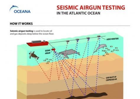 Seismic Airgun Testing Sacrificing Fishing To Oil