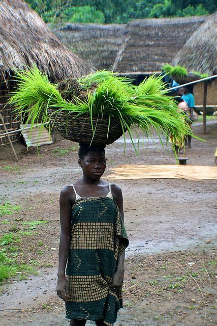 68 Limba People Ideas Sierra Leone Sierra Leonean Africa