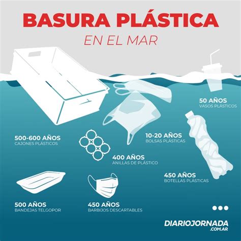 Plástico En Océanos ¿cuánto Tarda En Desaparecer