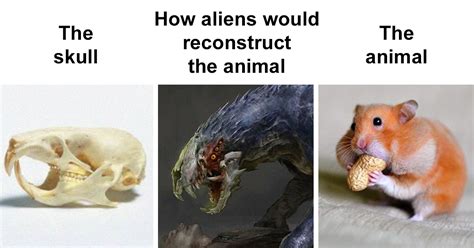 20 Alien Interpretations Of Animal Skulls Vs How They Really Look Like