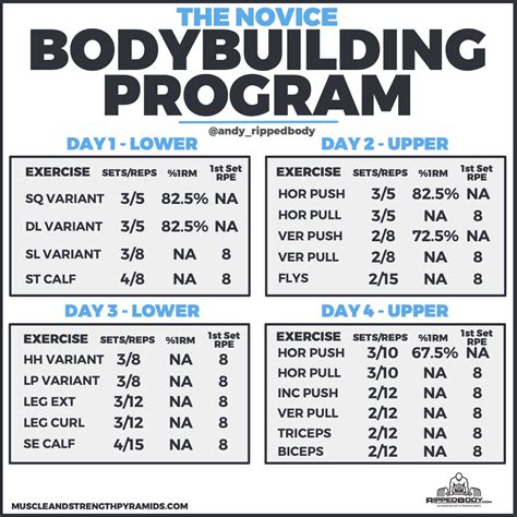 Bodybuilding Workout Programme Blog Dandk