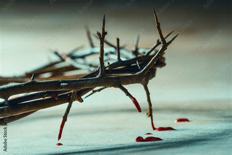 Crown Of Thorns With Blood Drops Christian Symbol Stock Photo Adobe