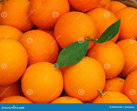 Valencia Oranges With One Showing Stem With Leaves Stock Image Image