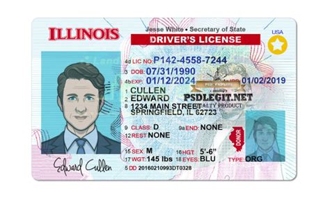 Illinois Driver License Psd Template Psdlegit