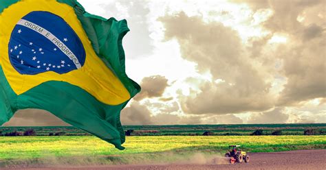 O Desenvolvimento Do Agronegócio Descrito Nesse Texto Promoveu No Brasil