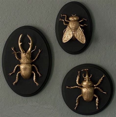 Diy Gilded Insect Faux Taxidermy The Gathered Home Taxidermy Decor