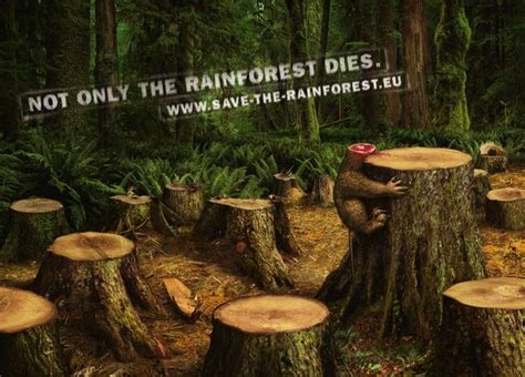Save The Rainforest Rainforest Advertising Creative Advertising