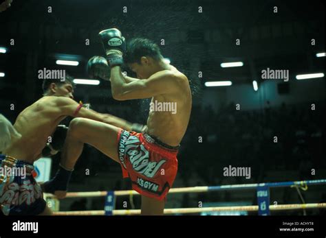 Asia Thailand Bangkok Thai Kick Boxers Fight During Muay Thai Match At