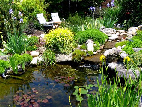 They may be built in barrels or other patio containers. Native plants for a pond | Welcome Wildlife