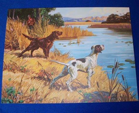 Vintage 1945 Henry Hy Hintermeister Hunting Dogs 16 X 12 Lithograph