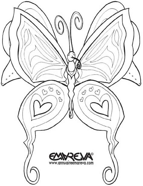 Coloriage Papillon à Imprimer Gratuit Voyager En Solo