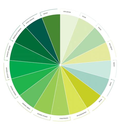 Palette De Couleurs Verts Pie Chart Chart Diagram